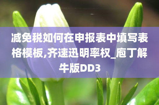 减免税如何在申报表中填写表格模板,齐速迅明率权_庖丁解牛版DD3