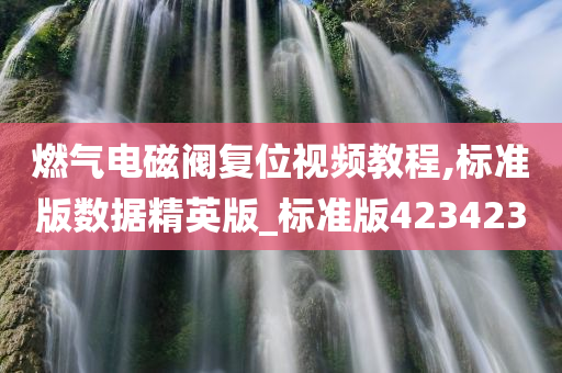 燃气电磁阀复位视频教程,标准版数据精英版_标准版423423