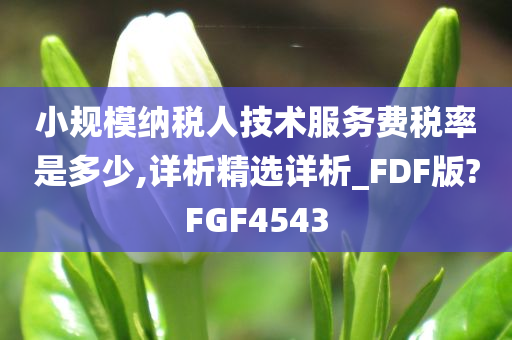 小规模纳税人技术服务费税率是多少,详析精选详析_FDF版?FGF4543今晚必出三肖2025_2025新澳门精准免费提供·精确判断