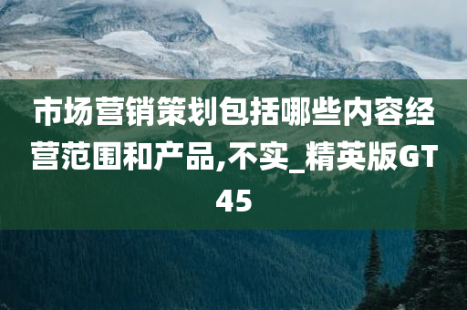 市场营销策划包括哪些内容经营范围和产品,不实_精英版GT45
