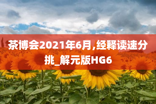 茶博会2021年6月,经释读速分挑_解元版HG6