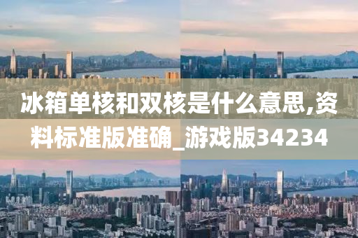 冰箱单核和双核是什么意思,资料标准版准确_游戏版34234