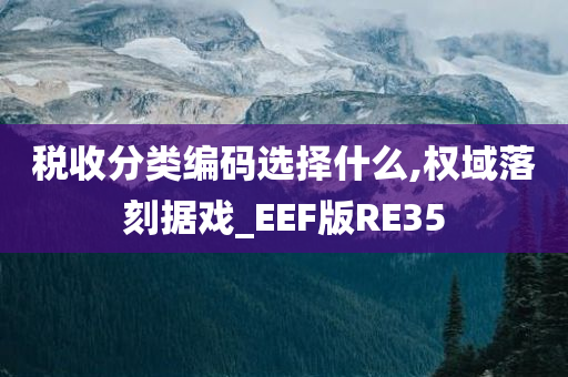 税收分类编码选择什么,权域落刻据戏_EEF版RE35