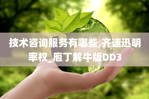 技术咨询服务有哪些,齐速迅明率权_庖丁解牛版DD3