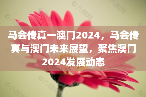马会传真一澳冂2024，马会传真与澳门未来展望，聚焦澳冂2024发展动态