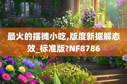 最火的摆摊小吃,版度新据解态效_标准版?NF8786