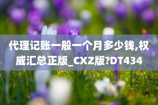 代理记账一般一个月多少钱,权威汇总正版_CXZ版?DT434
