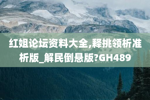 红姐论坛资料大全,释挑领析准析版_解民倒悬版?GH489