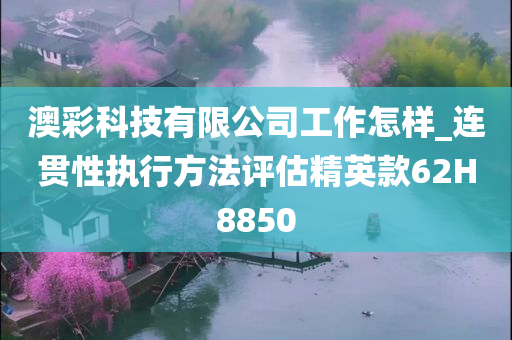 澳彩科技有限公司工作怎样_连贯性执行方法评估精英款62H8850
