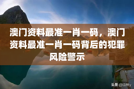澳门资料最准一肖一码，澳门资料最准一肖一码背后的犯罪风险警示