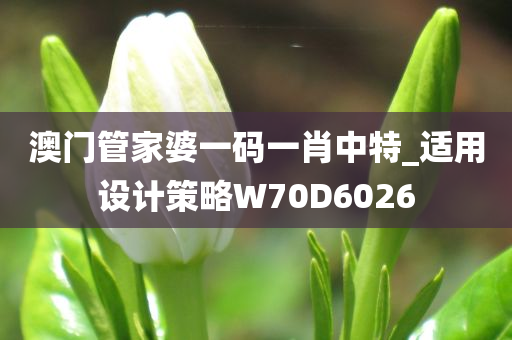 澳门管家婆一码一肖中特_适用设计策略W70D6026