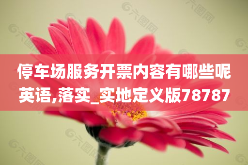 停车场服务开票内容有哪些呢英语,落实_实地定义版78787