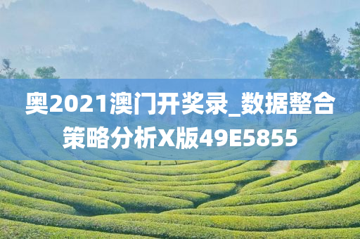 奥2021澳门开奖录_数据整合策略分析X版49E5855
