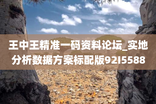 王中王精准一码资料论坛_实地分析数据方案标配版92I5588
