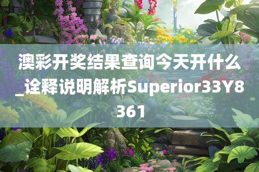 澳彩开奖结果查询今天开什么_诠释说明解析Superior33Y8361