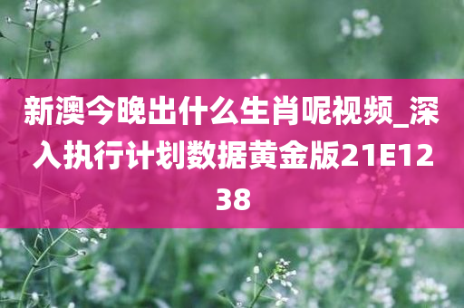 新澳今晚出什么生肖呢视频_深入执行计划数据黄金版21E1238