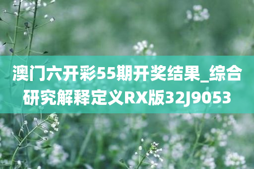 澳门六开彩55期开奖结果_综合研究解释定义RX版32J9053