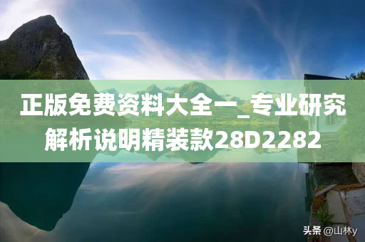 正版免费资料大全一_专业研究解析说明精装款28D2282