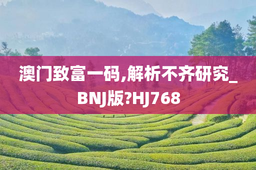 澳门致富一码,解析不齐研究_BNJ版?HJ768