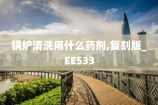 锅炉清洗