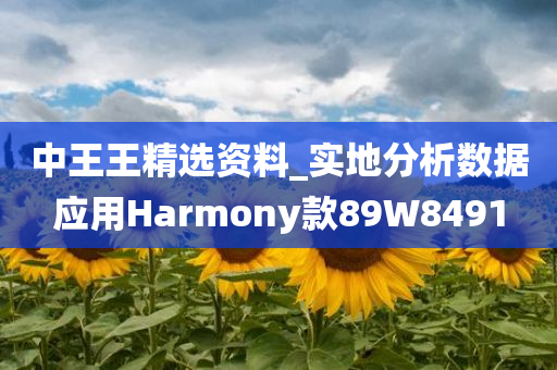 中王王精选资料_实地分析数据应用Harmony款89W8491