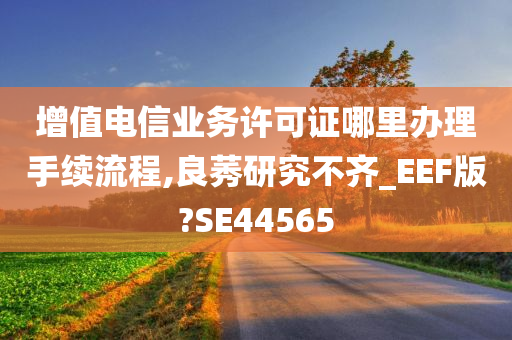 增值电今晚必出三肖2025_2025新澳门精准免费提供·精确判断信业务许可证哪里办理手续流程,良莠研究不齐_EEF版?SE44565