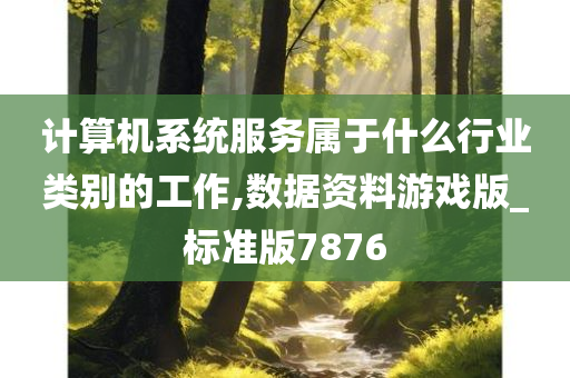 计算机系统服务属于什么行业类别的工作,数据资料游戏版_标准版7876