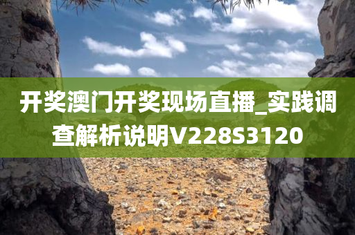 开奖澳门开奖现场直播_实践调查解析说明V228S3120