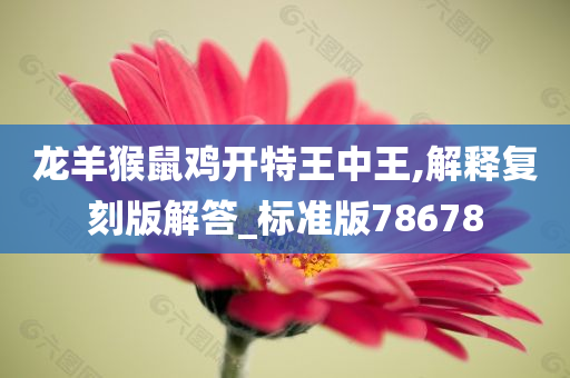 龙羊猴鼠鸡开特王中王,解释复刻版解答_标准版78678