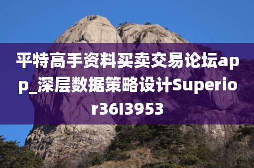 平特高手资料买卖交易论坛app_深层数据策略设计Superior36I3953