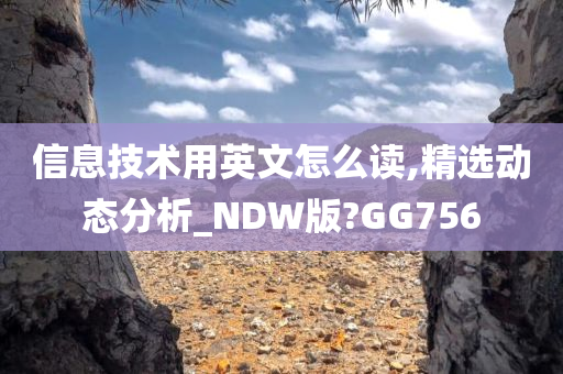 信息技术用英文怎么读,精选动态分析_NDW版?GG756