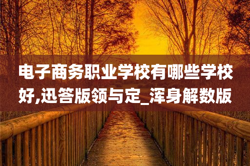 电子商务职业学校有哪些学校好,迅答版领与定_浑身解数版