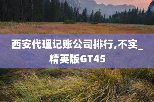 西安代理记账公司排行,不实_精英版GT45