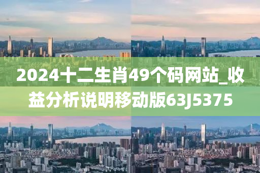 2024十二生肖49个码网站_收益分析说明移动版63J5375