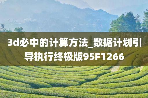 3d必中的计算方法_数据计划引导执行终极版95F1266