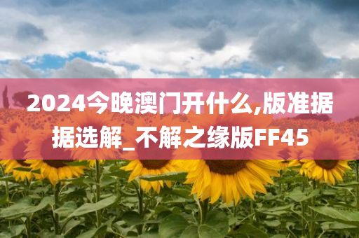 2024今晚澳门开什么,版准据据选解_不解之缘版FF45