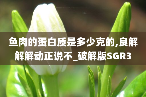 破解版SGR3 第7页
