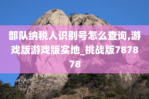 部队纳税人识别号怎么查询,游戏版游戏版实地_挑战版787878