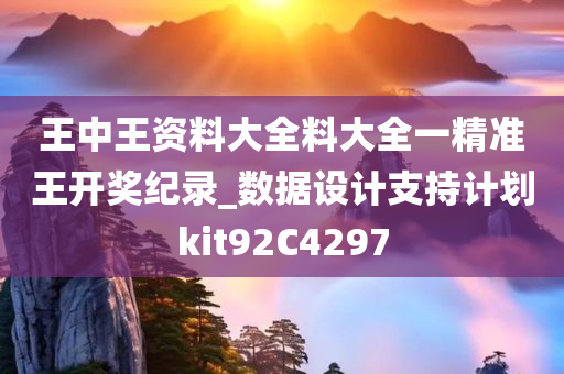 王中王资料大全料大全一精准王开奖纪录_数据设计支持计划kit92C4297