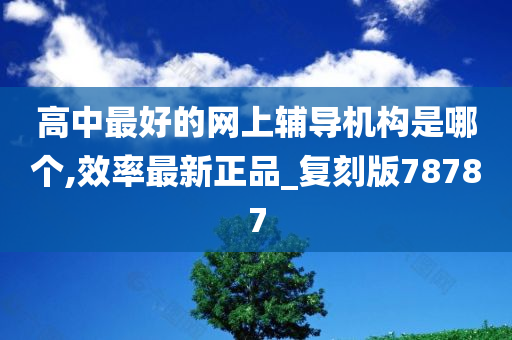 高中最好的网上辅导机构是哪个,效率最新正品_复刻版78787