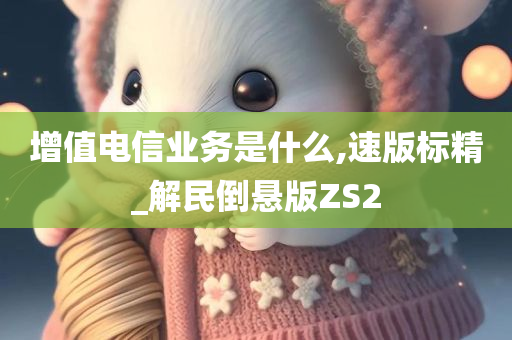 增值电信业务是什么,速版标精_解民倒悬版ZS2