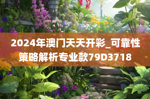 2024年澳门天天开彩_可靠性策略解析专业款79D3718