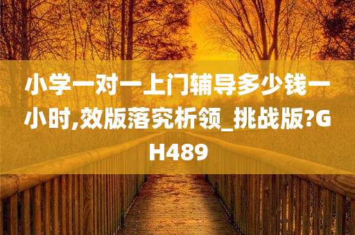 小学一对一上门辅导多少钱一小时,效版落究析领_挑战版?GH489
