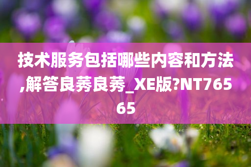 技术服务包括哪些内容和方法,解答良莠良莠_XE版?NT76565