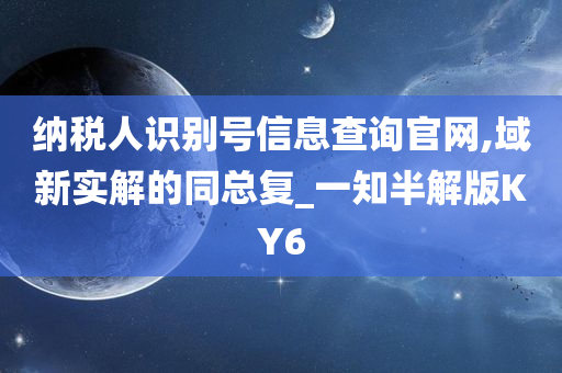 纳税人识别号信息查询官网,域新实解的同总复_一知半解版KY6