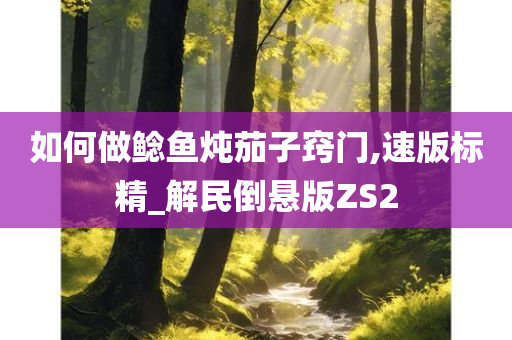 如何做鲶鱼炖茄子窍门,速版标精_解民倒悬版ZS2