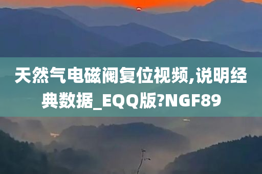 天然气电磁阀复位视频,说明经典数据_EQQ版?NGF89