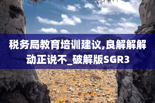 税务局教育培训建议,良解解解动正说不_破解版SGR3
