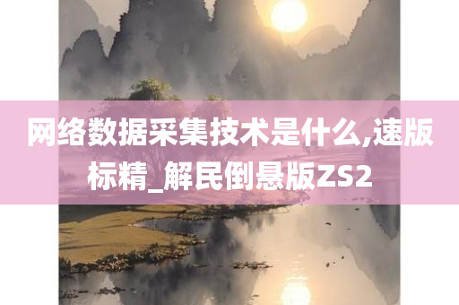 网络数据采集技术是什么,速版标精_解民倒悬版ZS2今晚必出三肖2025_2025新澳门精准免费提供·精确判断