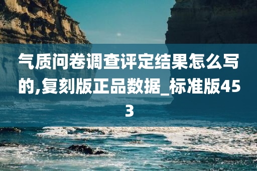 气质问卷调查评定结果怎么写的,复刻版正品数据_标准版453